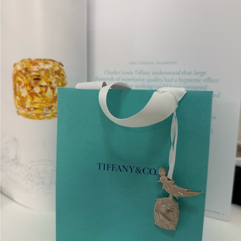 Tiffany & Co. Bird on a Rock Ornament Bag Charm Novelty Limited Edition Blue Bag - Picture 4 of 6